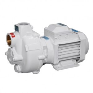 Pompa monoblocco BMA- G32 (24V) Gianneschi