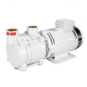 Elettropompa ACB331/1 B (24V) Gianneschi